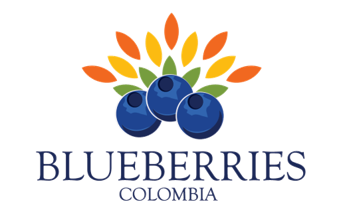 Blueberries Colombia